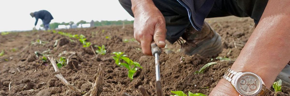 soil health climate change