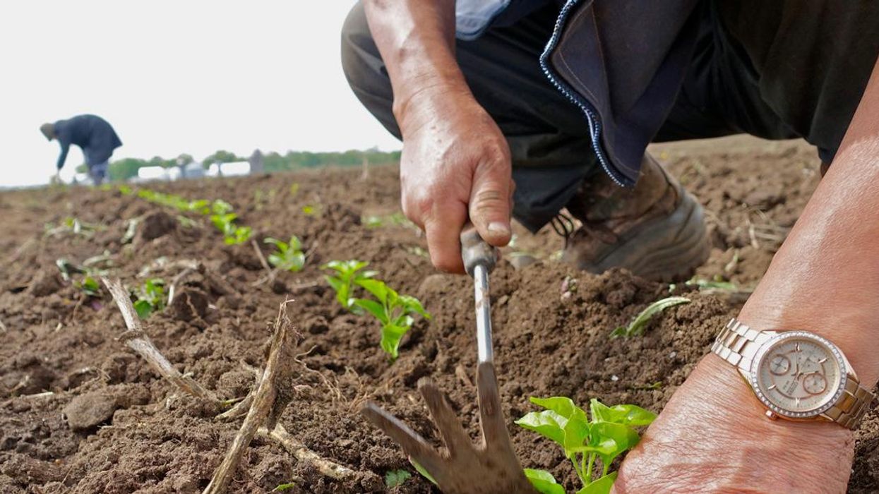 soil health climate change