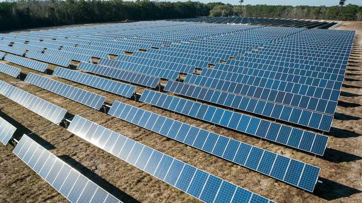 Solar panels arrayed in a newly cleared field