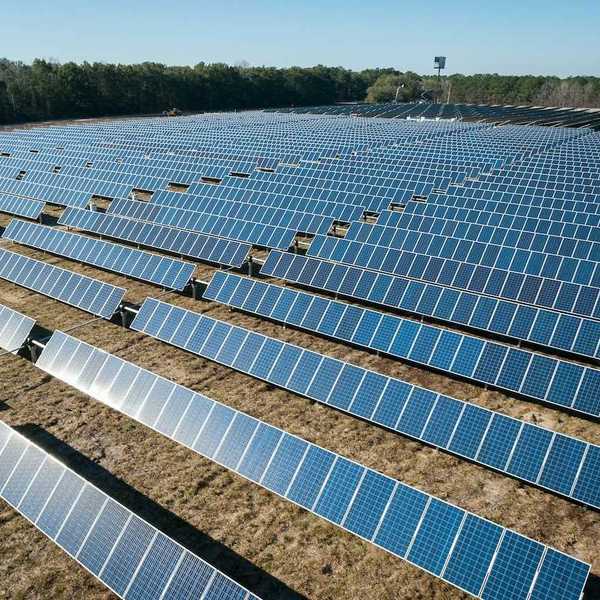 Solar panels arrayed in a newly cleared field