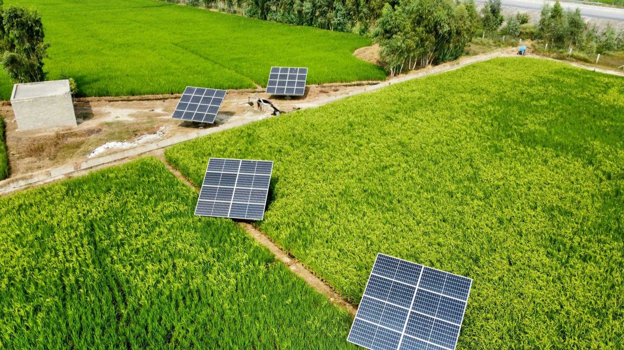 solar panels on a farm field