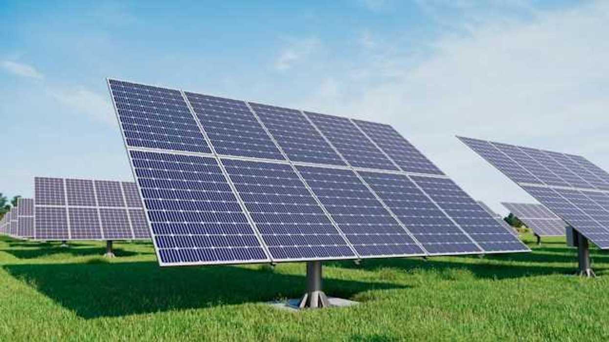 Solar panels standing in a grassy field