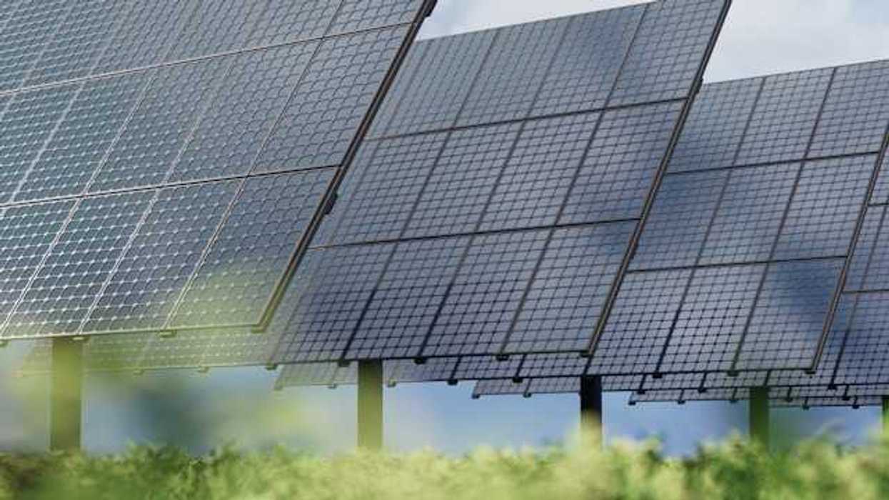 Solar panels with green bushes in the foreground