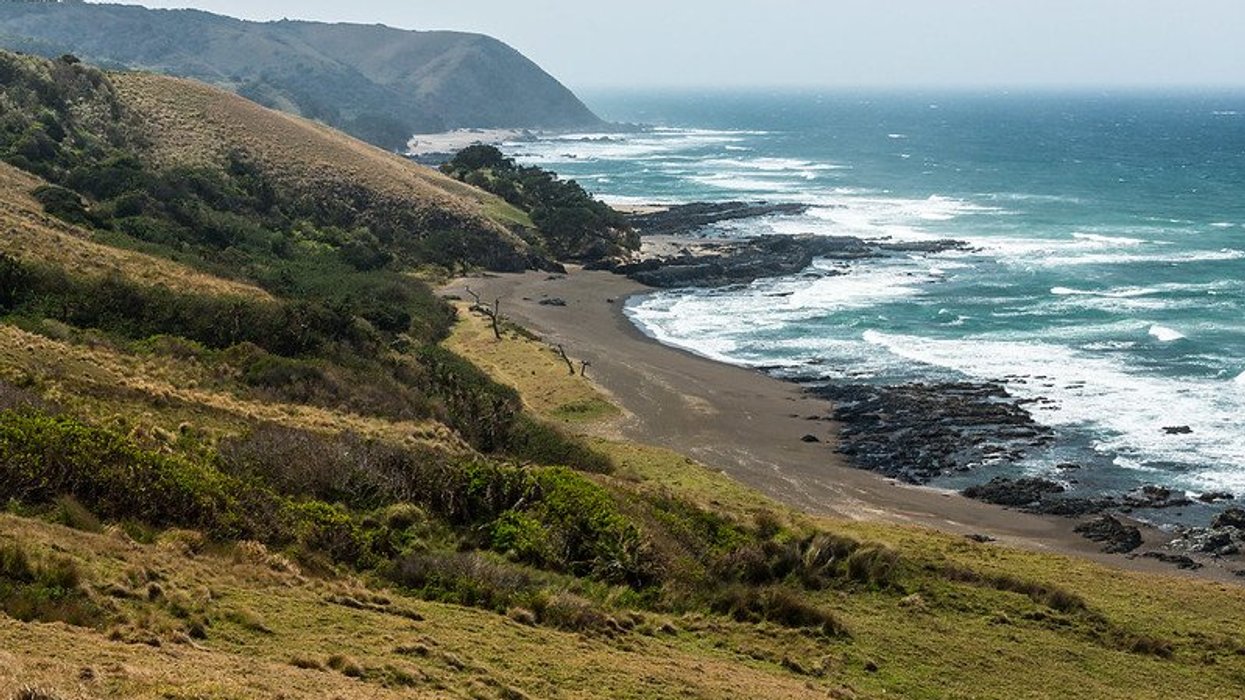 Stopping Shell Oil on South Africa’s Wild Coast - EHN