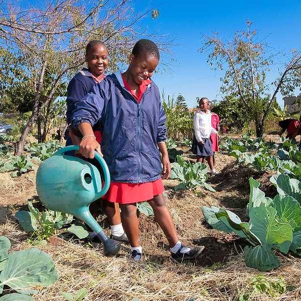 South African schoolchildren watering plants in a school plot