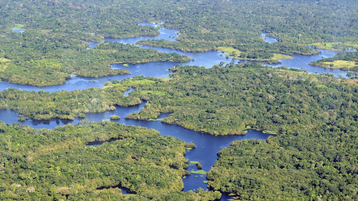 south america amazon climate solutions
