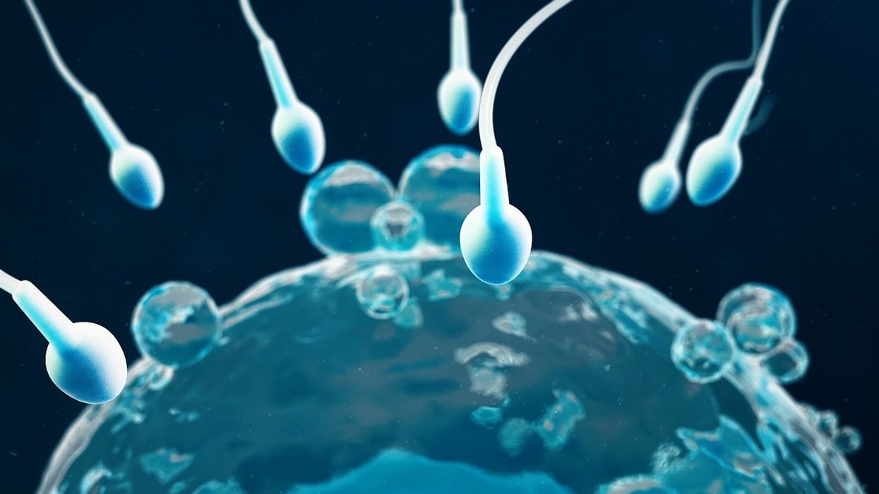 Sperm and egg cell, ovum, close-up view.