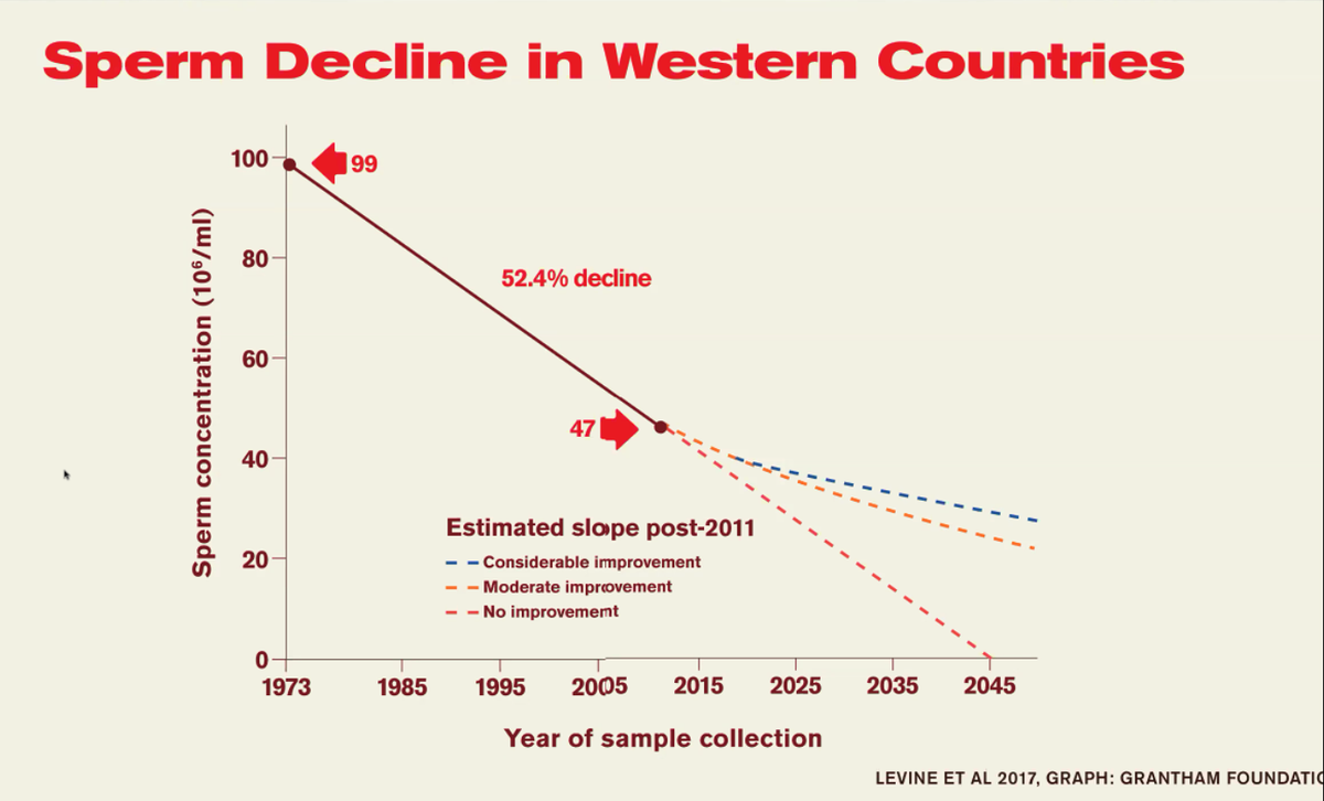 Phthalates The 'everywhere' chemical EHN