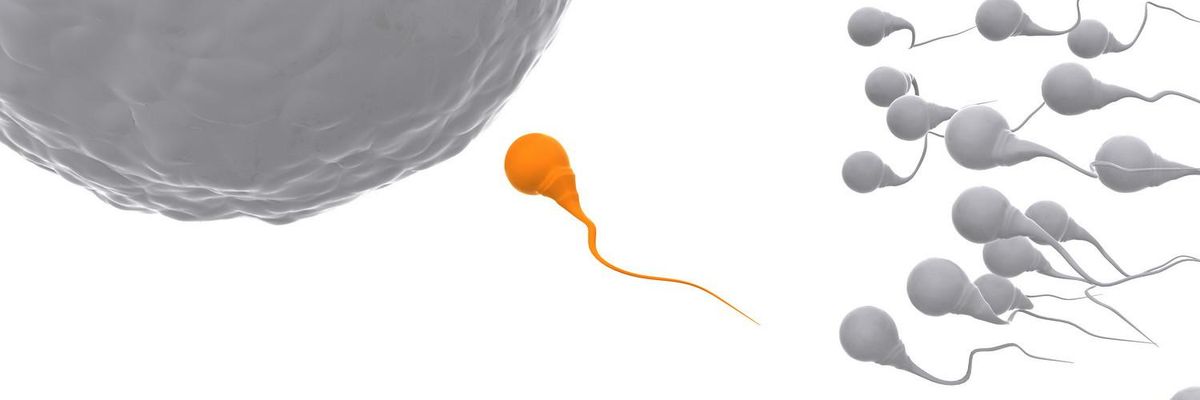 sperm infertility