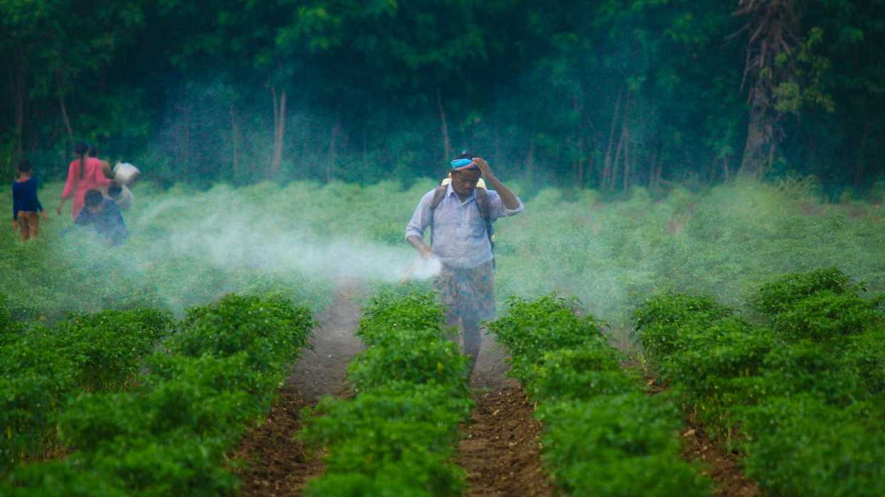Spraying pesticides or herbicides while wearing a backpack sprayer and no protective gear