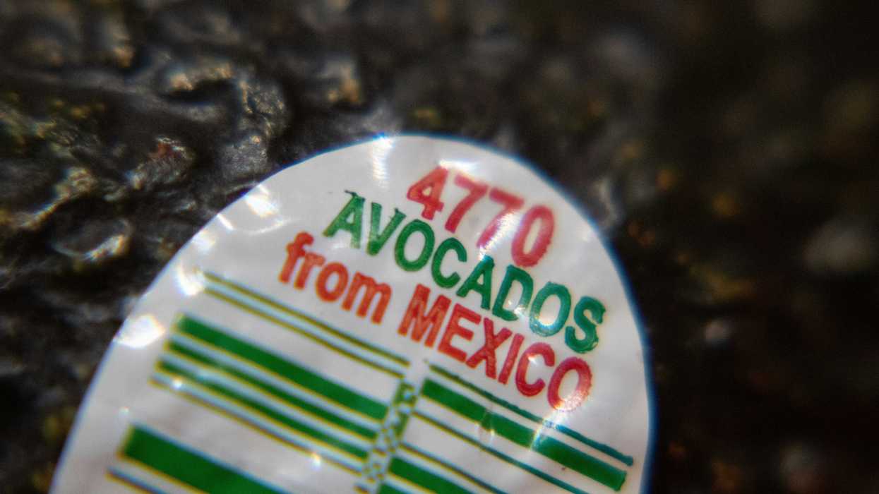 Sticker on an avocado skin that says "Avocados from Mexico."