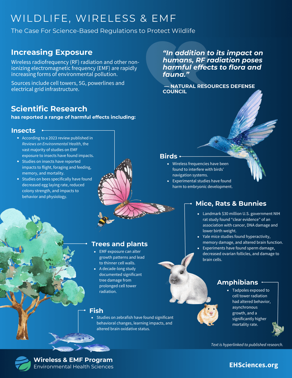 Study finds power line EMF impacts honeybees, pollination, and plant ecosystems