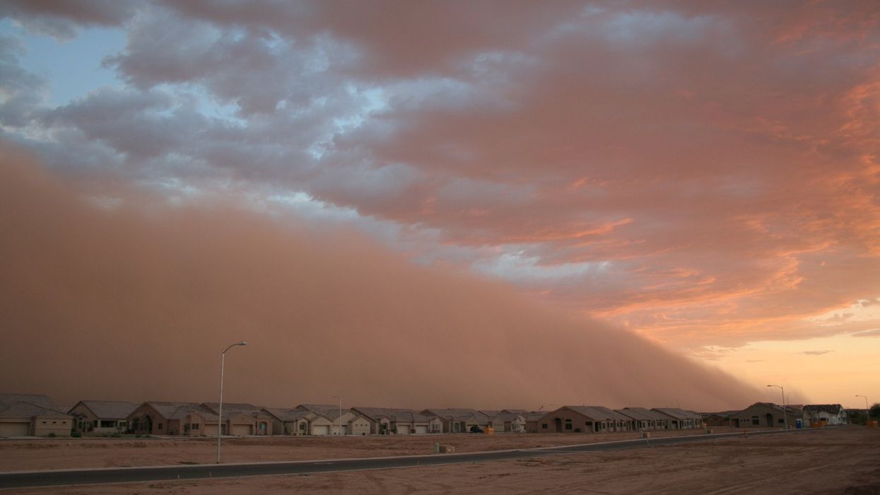 photo of What is valley fever? Cases of fungal infection on upward trend, CDC data shows image