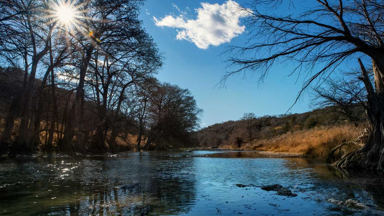 Sunlight shines over river bed