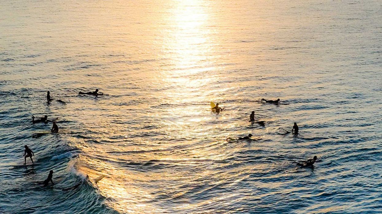Surfers on sea during sunset.