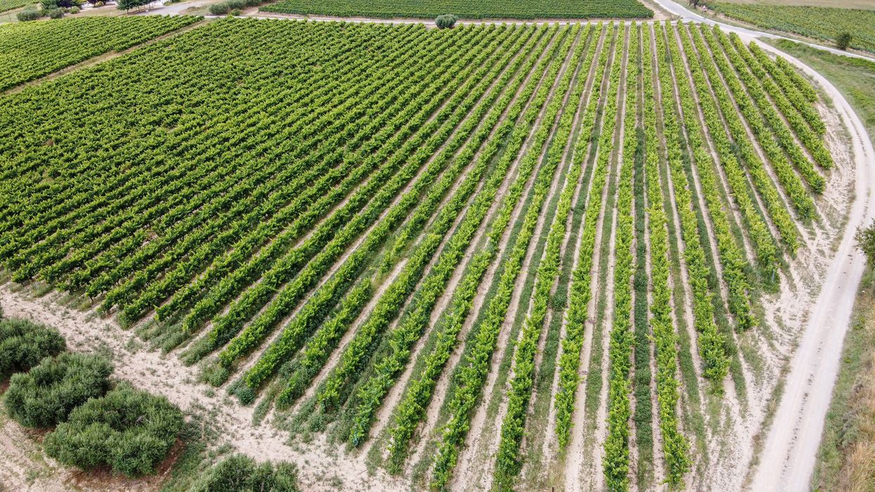 tagus river drought climate impacts