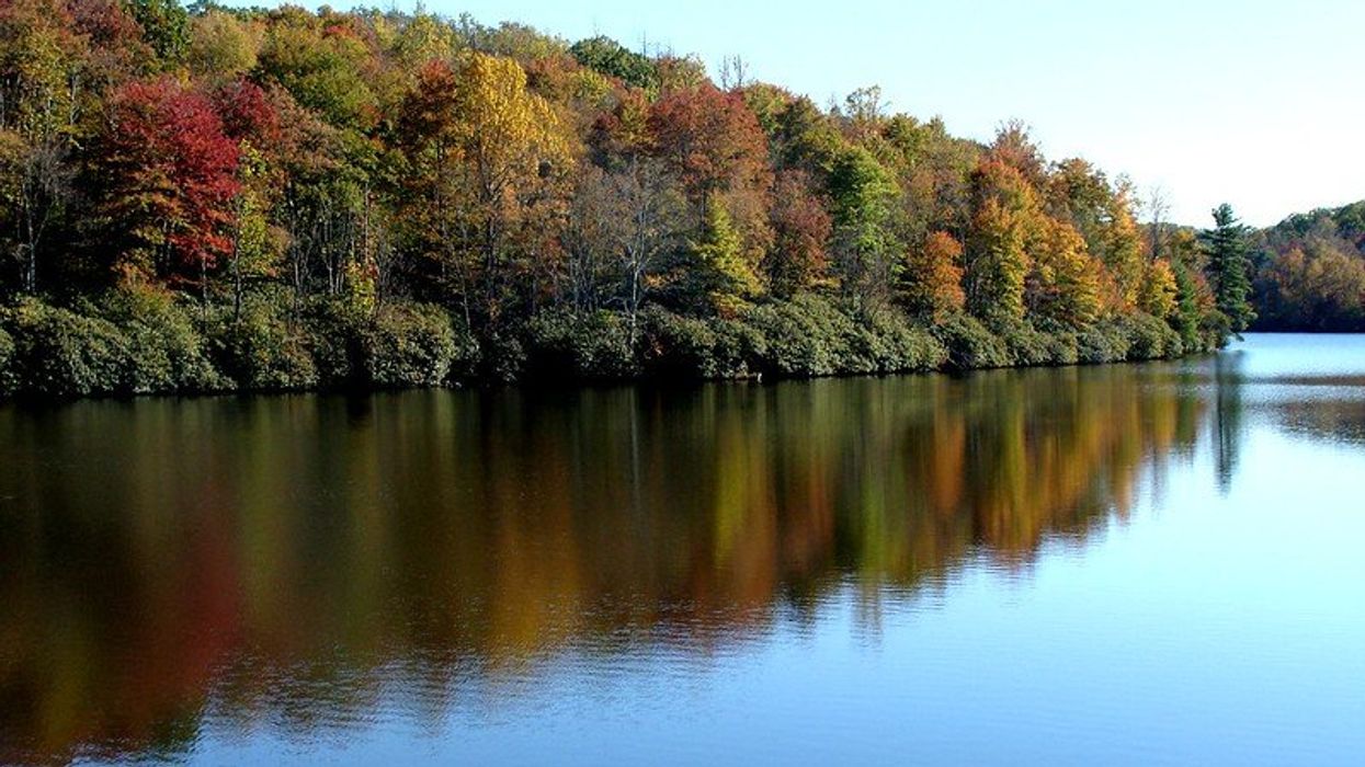 Tennessee freshwater PFAS contamination