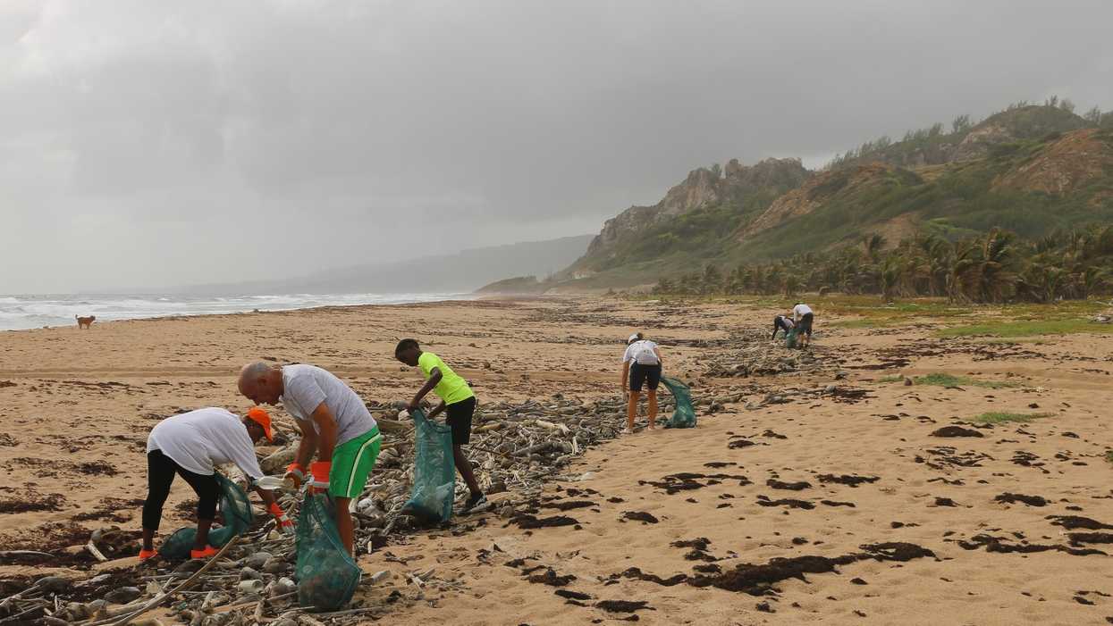 The attention on microplastic pollution is welcomed. But scientists
can do better.
