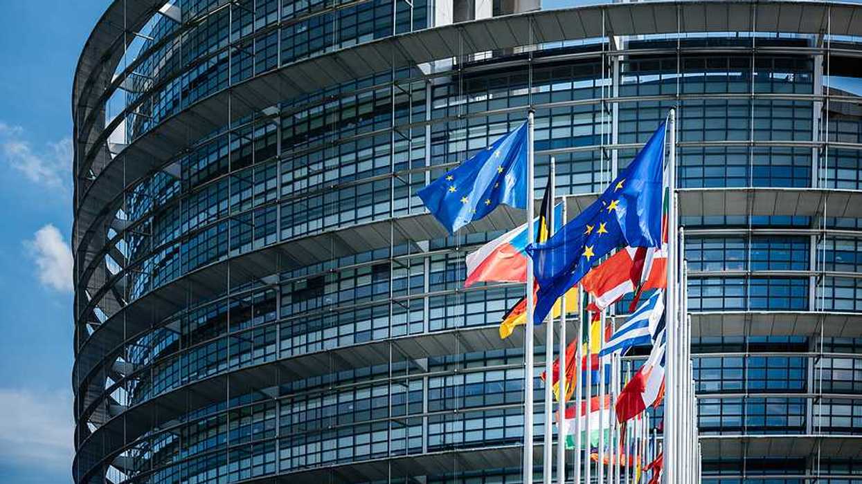 The European parliament building with country flags flying outside