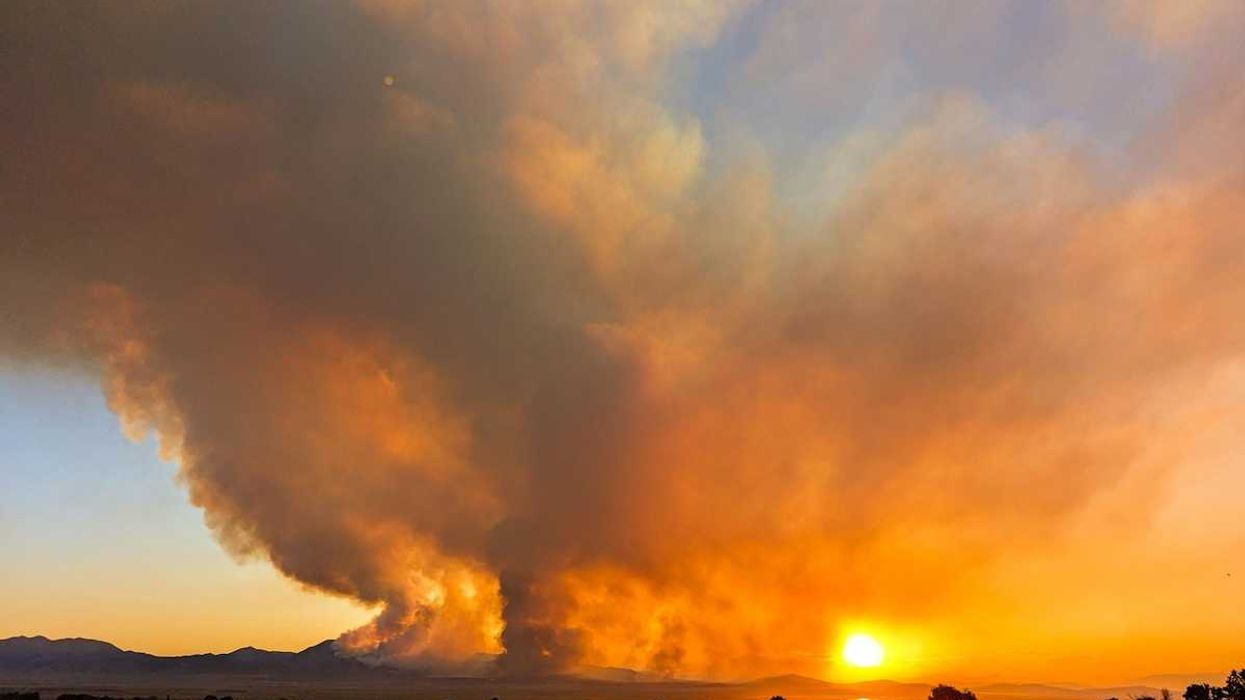 photo of Climate 'black swan' risks: Why investors are preparing for the worst image