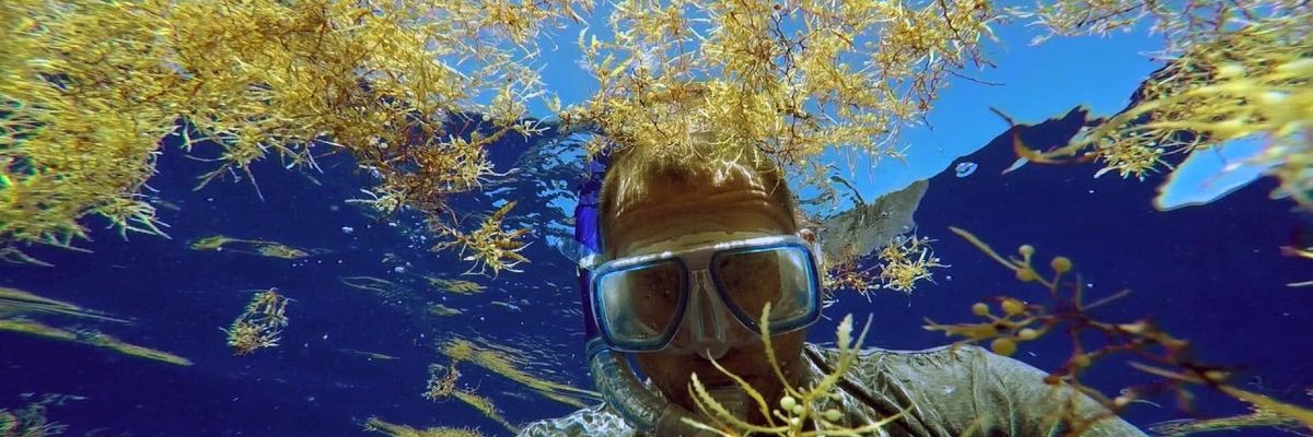 Pete Myers and the 'Smog of the Sea'