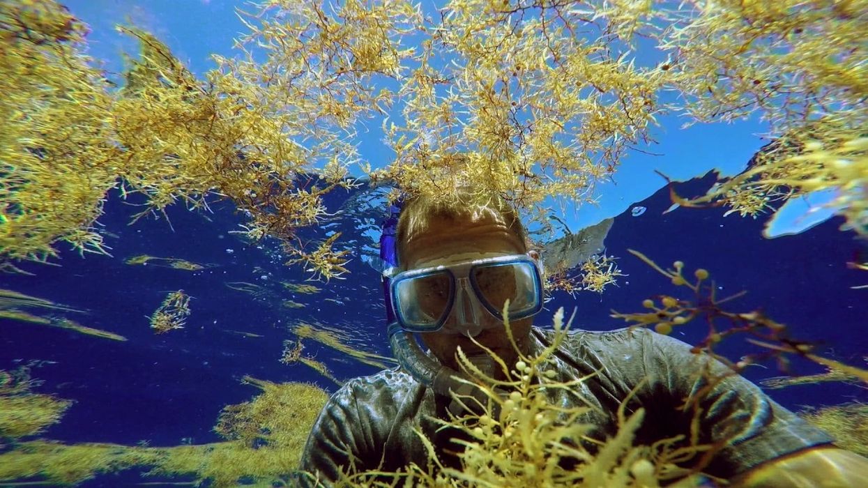 Pete Myers and the 'Smog of the Sea'