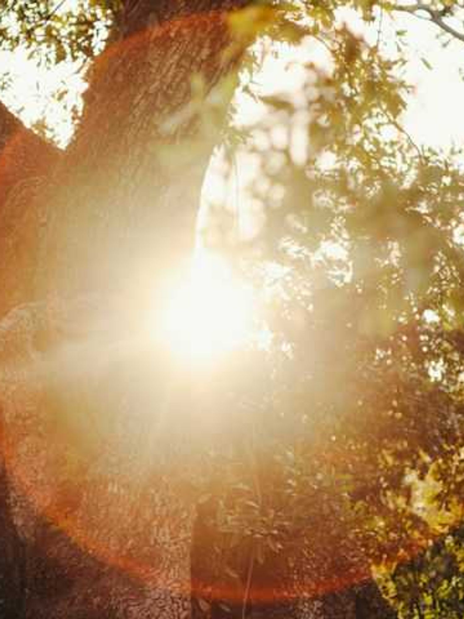 Britain won’t dim sunlight to fight climate change