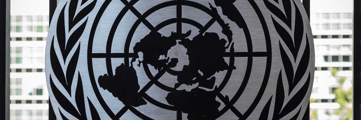 the united nations emblem on display in front of a window.