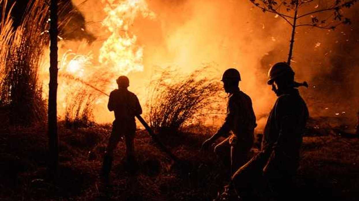 Three firefighters fighting a wildfire