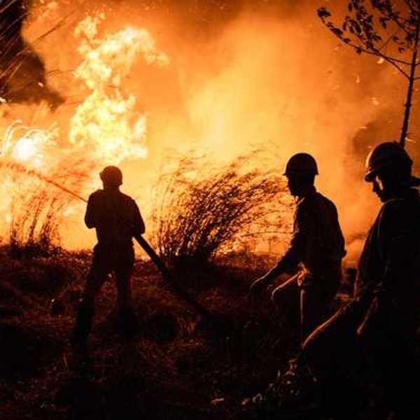 Three firefighters fighting a wildfire