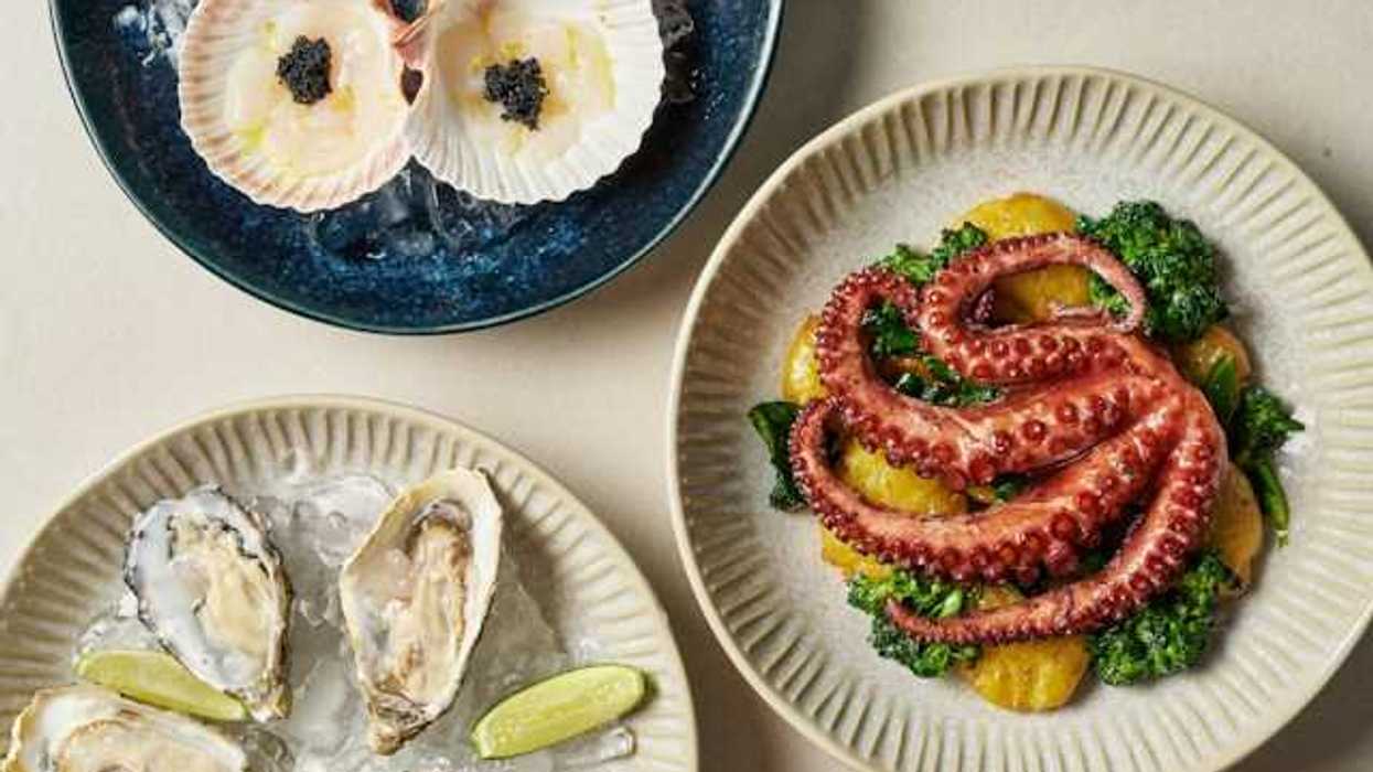 Three plates of seafood on a table