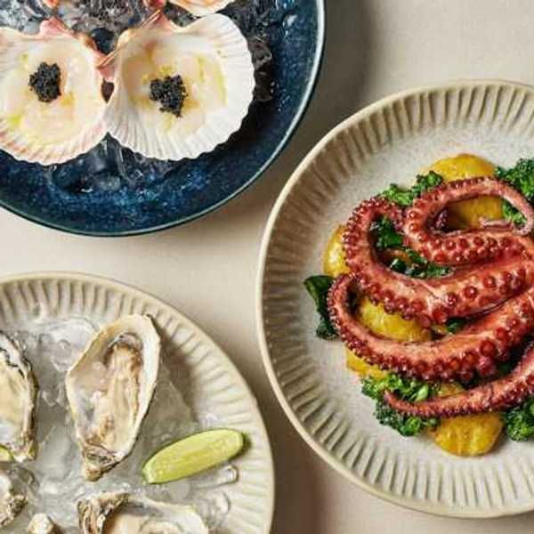 Three plates of seafood on a table