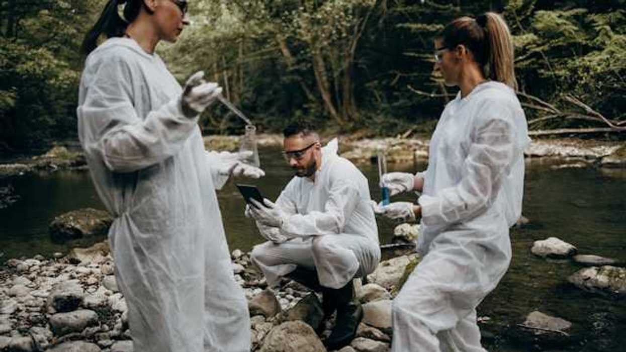 Three scientists testing water in a creek