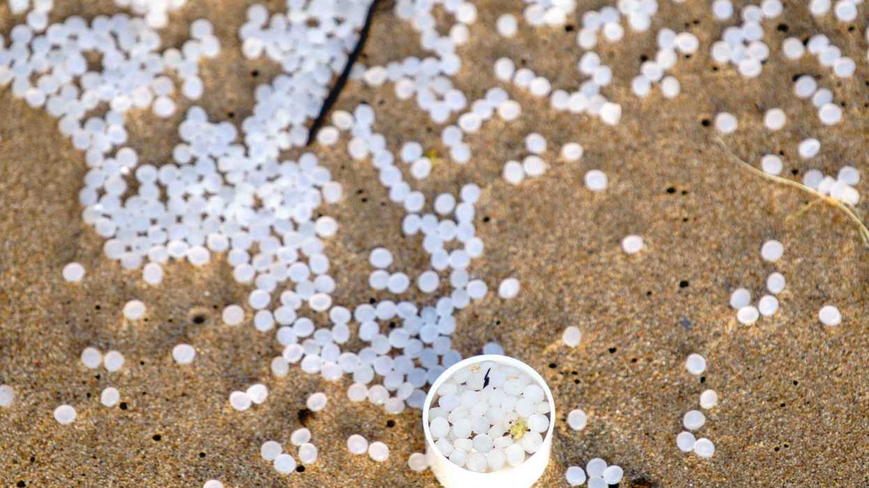 Tiny plastic white nurdle balls on sand.