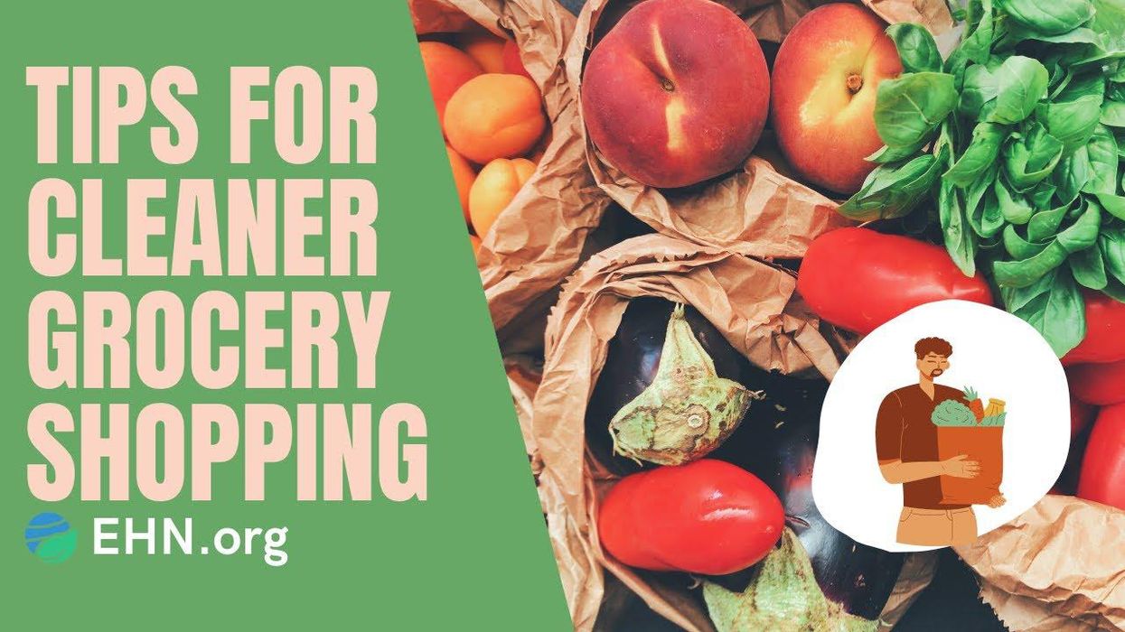 10 tips for cleaner grocery shopping