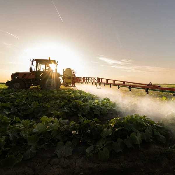 Tractor and driver backlit applying herbicides to crop