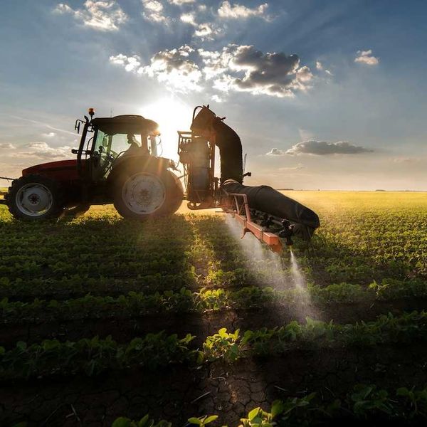 California phasing out herbicide linked to Parkinson’s disease