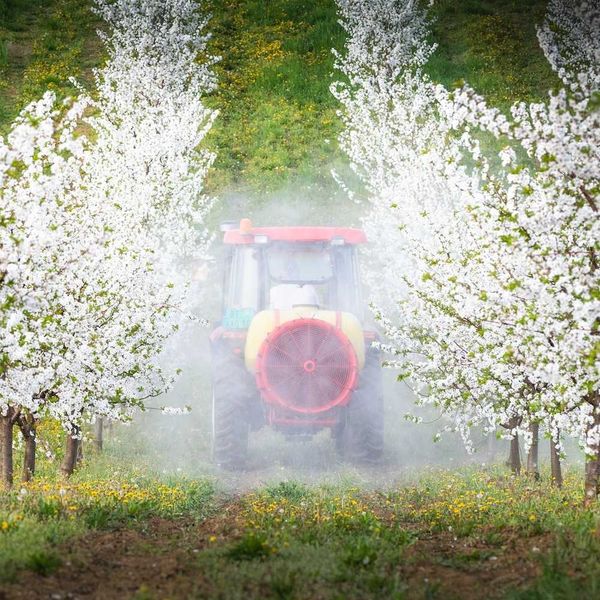 Federal review on weedkiller sparks backlash from environment and health groups