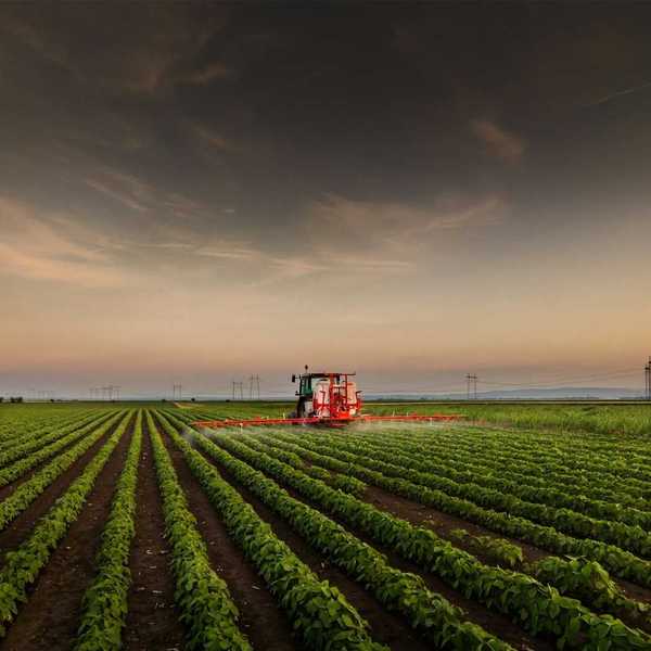 Tractor mounted with spraying equipment treating a crop of soybeans