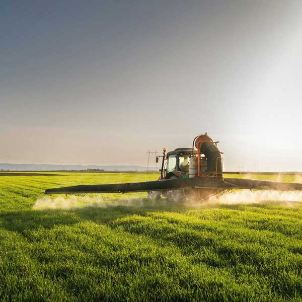 Tractor spraying pesticides on green field.