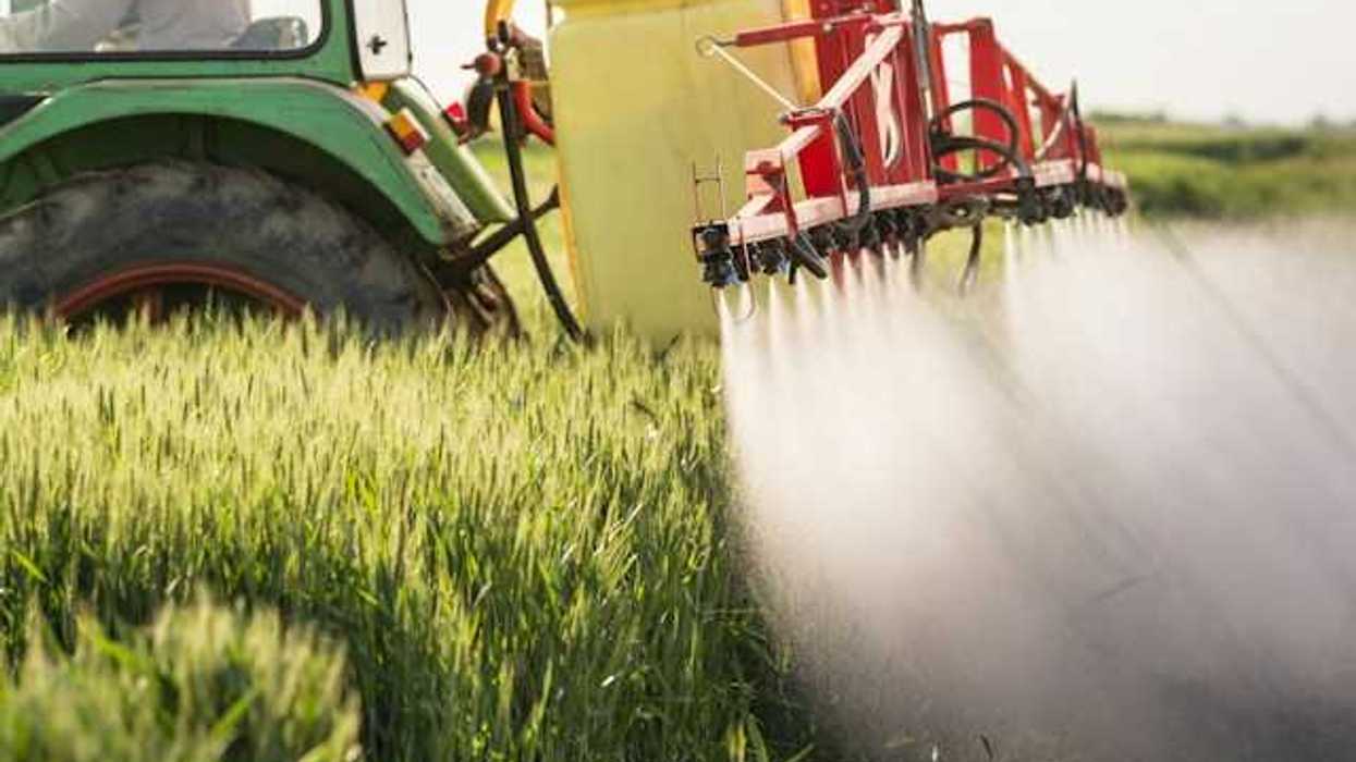 Tractor spraying wheat field with pesticides