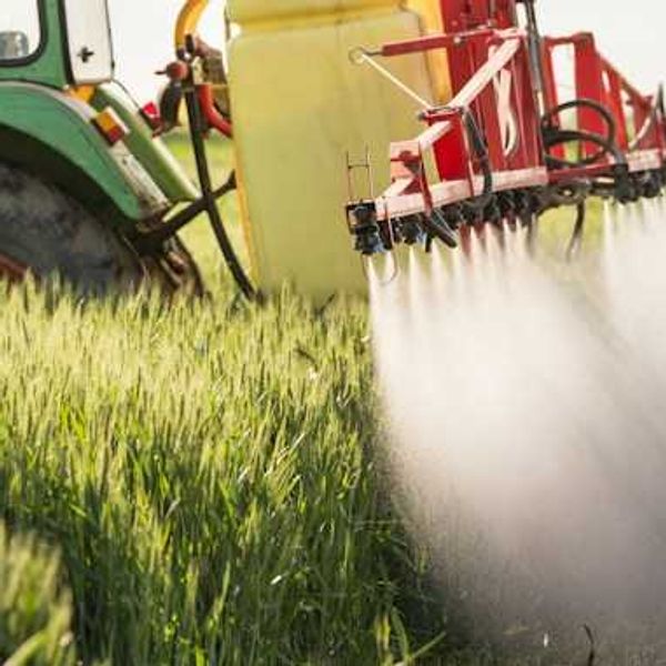South African children caught in pesticide drift