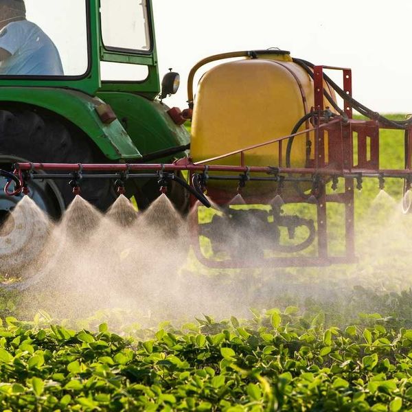 Tractor spreading pesticides on soybeans