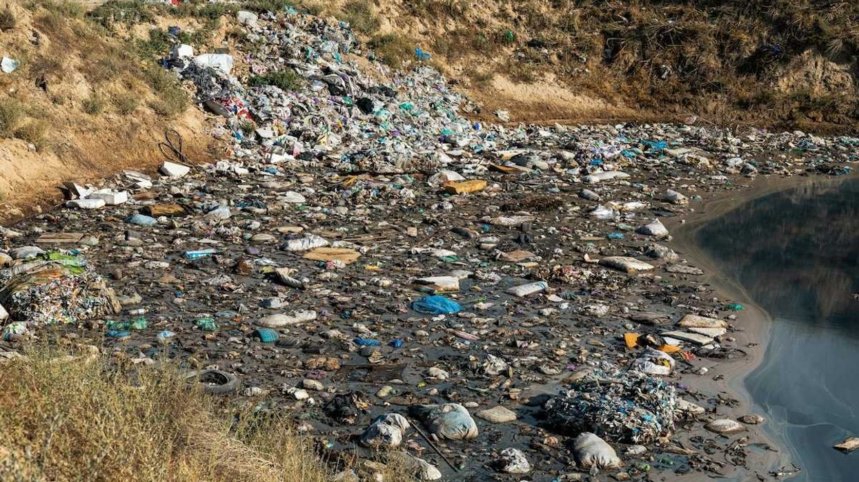 Trash dumping site leaching into waterway