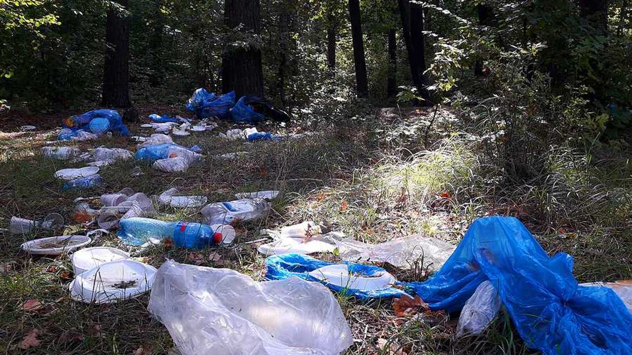Trash littered on the forest floor