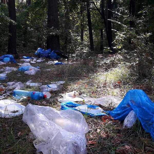 Trash littered on the forest floor