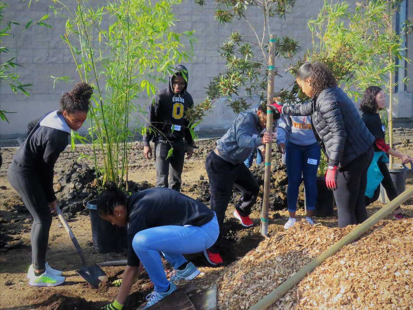 tree planting
