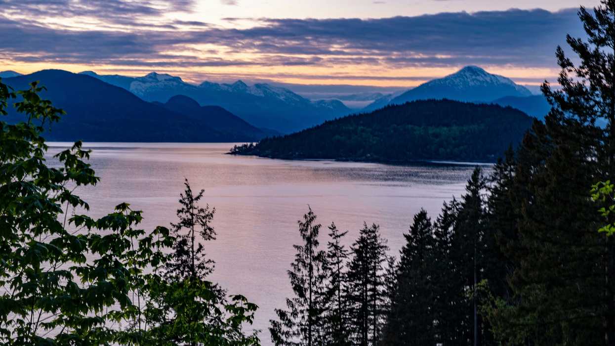 trees beside ocean under cloudy sky during sunset