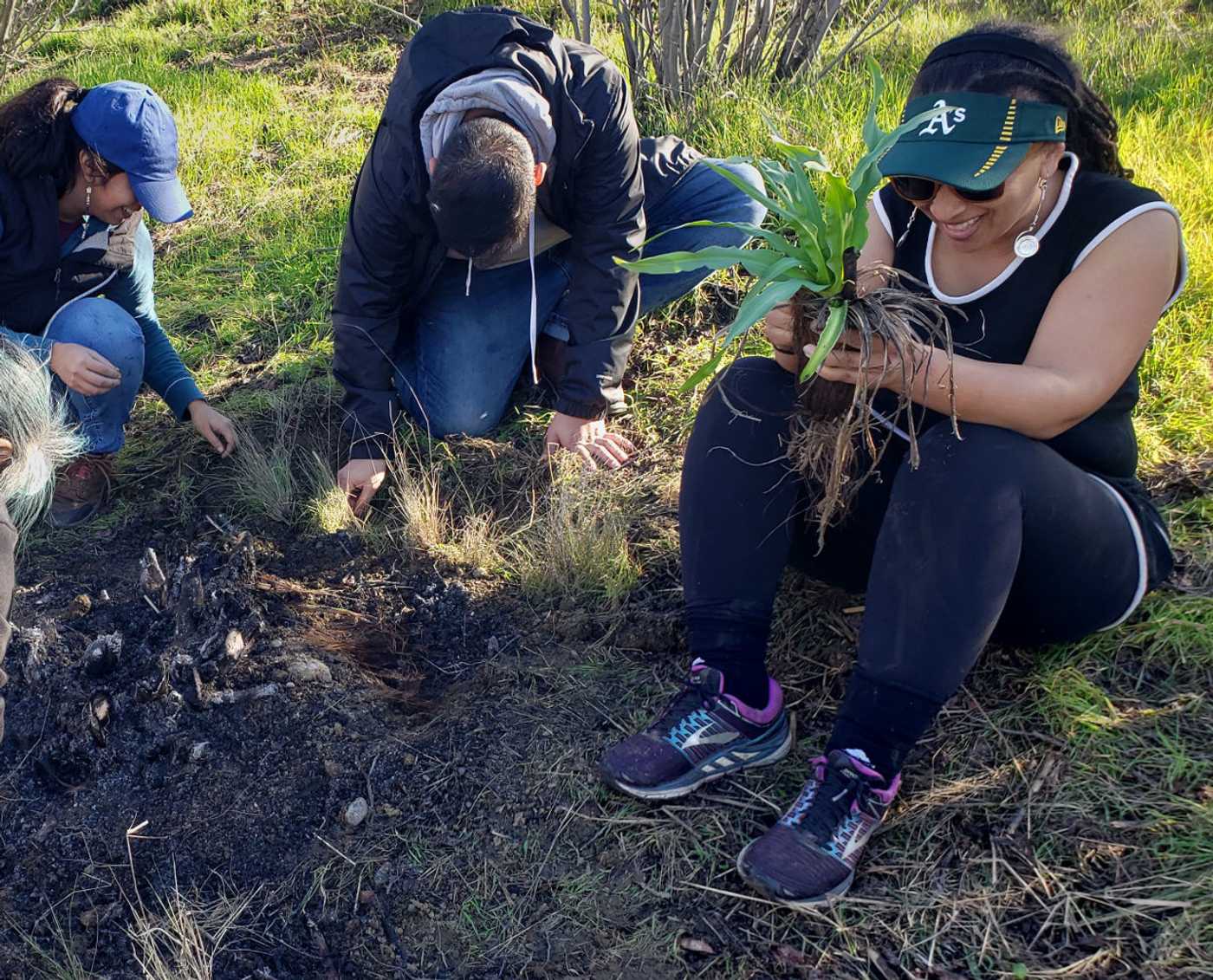tribal native plants