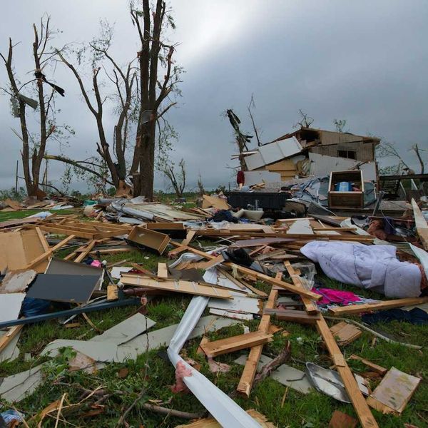 Tropical cyclone destructive aftermath